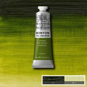 Winton Oljefärg 37ml - Sap green  599