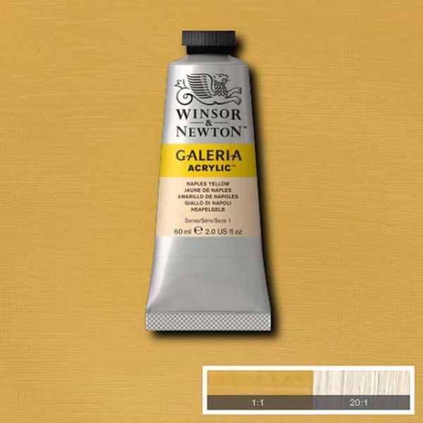 Winsor & Newton Galeria 60ml - Naples yellow 422